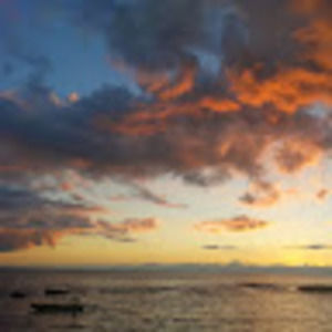 Meet your Posher, Jerome